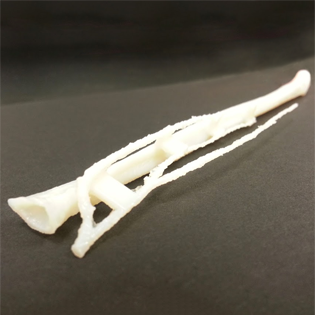 3D Printed Fibula